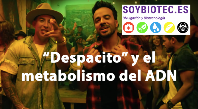 Despacito y el metabolismo del ADN