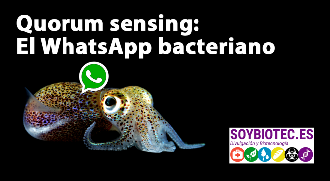 Quorum Sensing: el WhatsApp de las bacterias